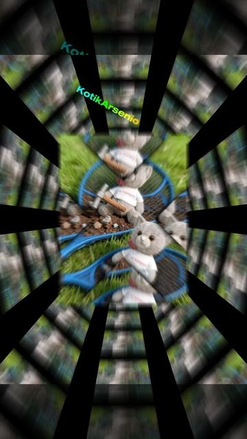 1000010512.mp4