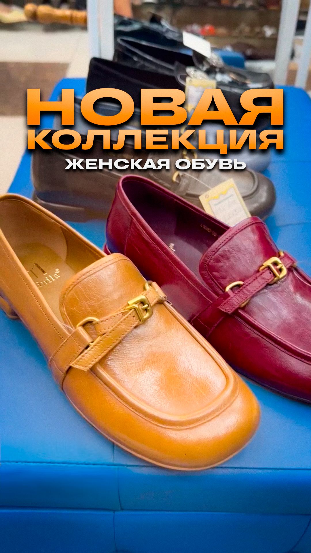 🔥НОВАЯ КОЛЛЕКЦИЯ🔥ЖЕНСКАЯ ОБУВЬ #обзоробуви #тксадовод #женскаяобувь