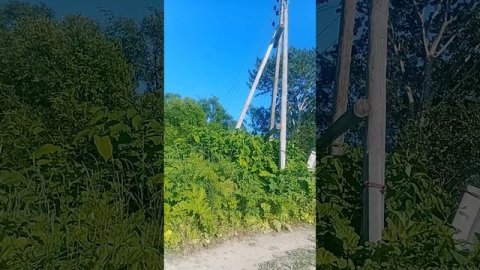 1000061939.mp4дорога домой