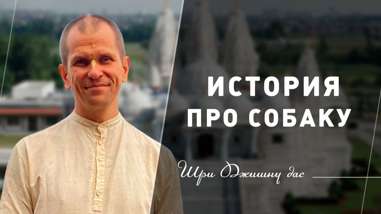 История про собаку
