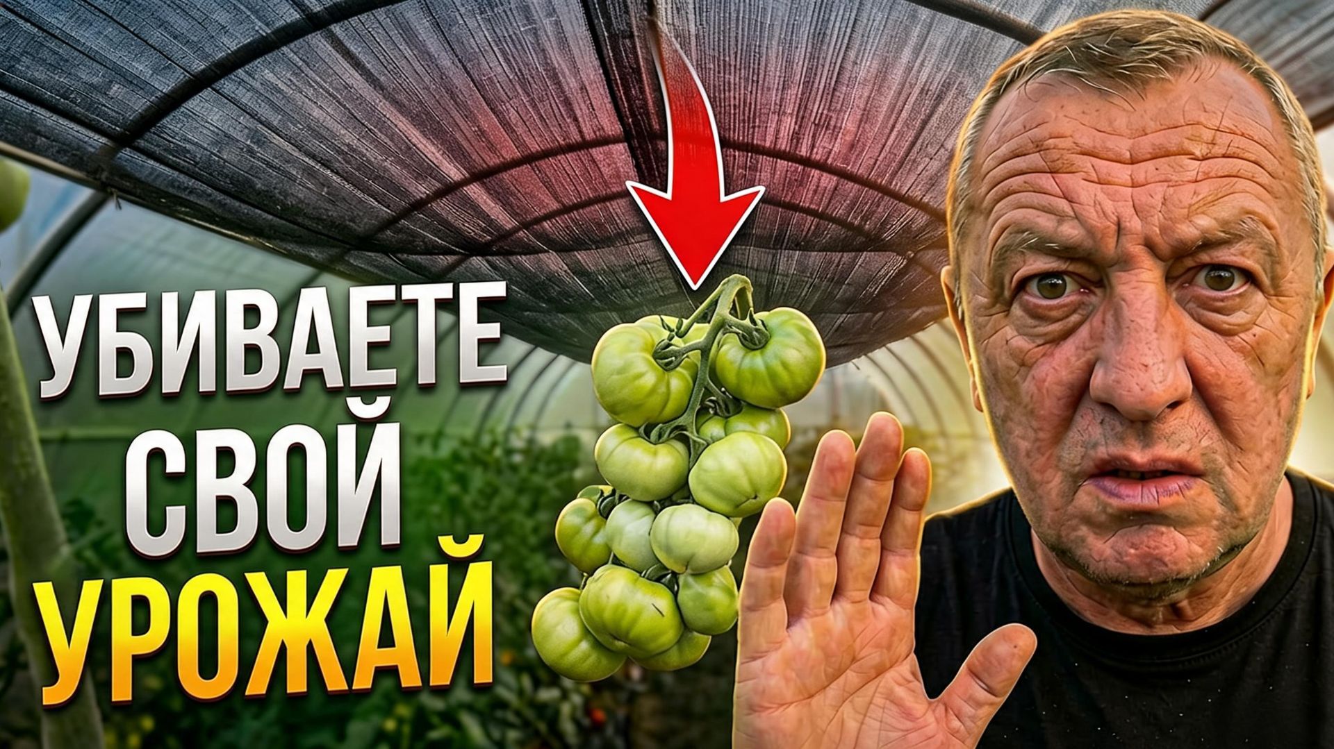 Сетка остановила налив томатов! Снимите ее прямо сейчас