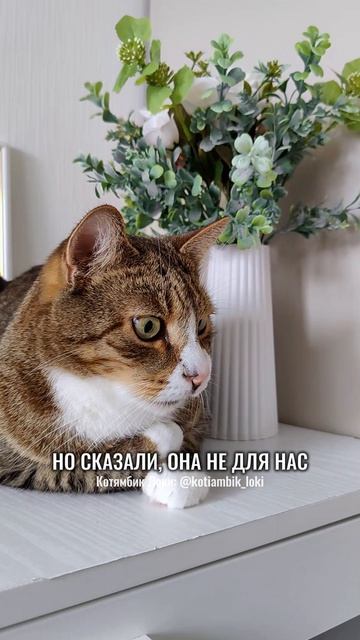 Ох уж эти вечно голодные глаза😄
