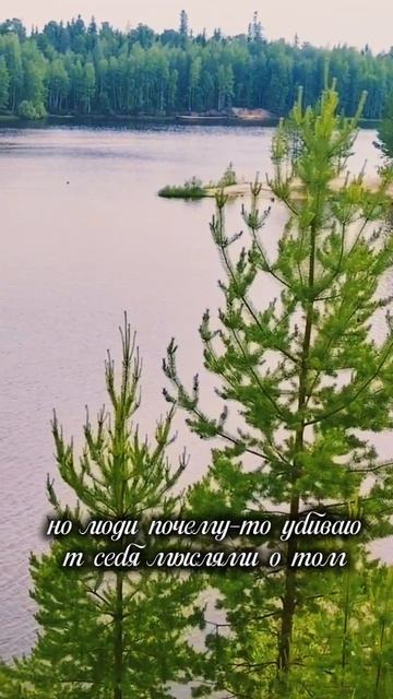 Умные слова