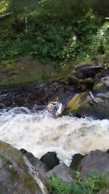 На берегу реки Иййоки #путешествия #природа #карелия #река