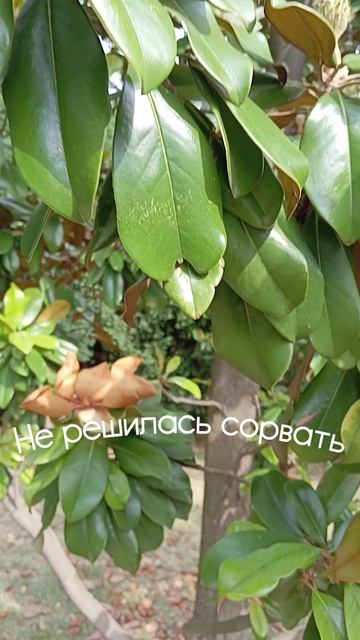 удивительно
