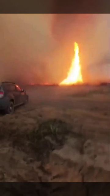 В чернобыльской зоне отчуждения на фоне лесных пожаров образовался огненный смерч
