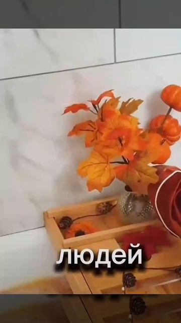 Ответ на Вопрос который хотеногие задать мне