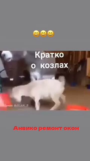 Терпение только терпение.    Коротко о всех Козлов.