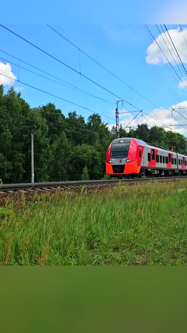 Приветливая Ласточка поезд