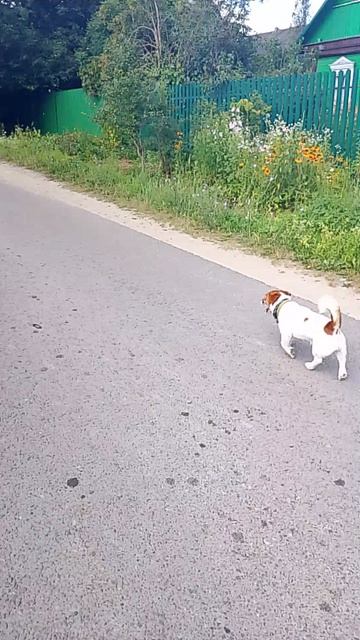 Другая сторона деревни 06.07.2026.
