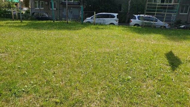 Рома гуляет, 6.07.2026