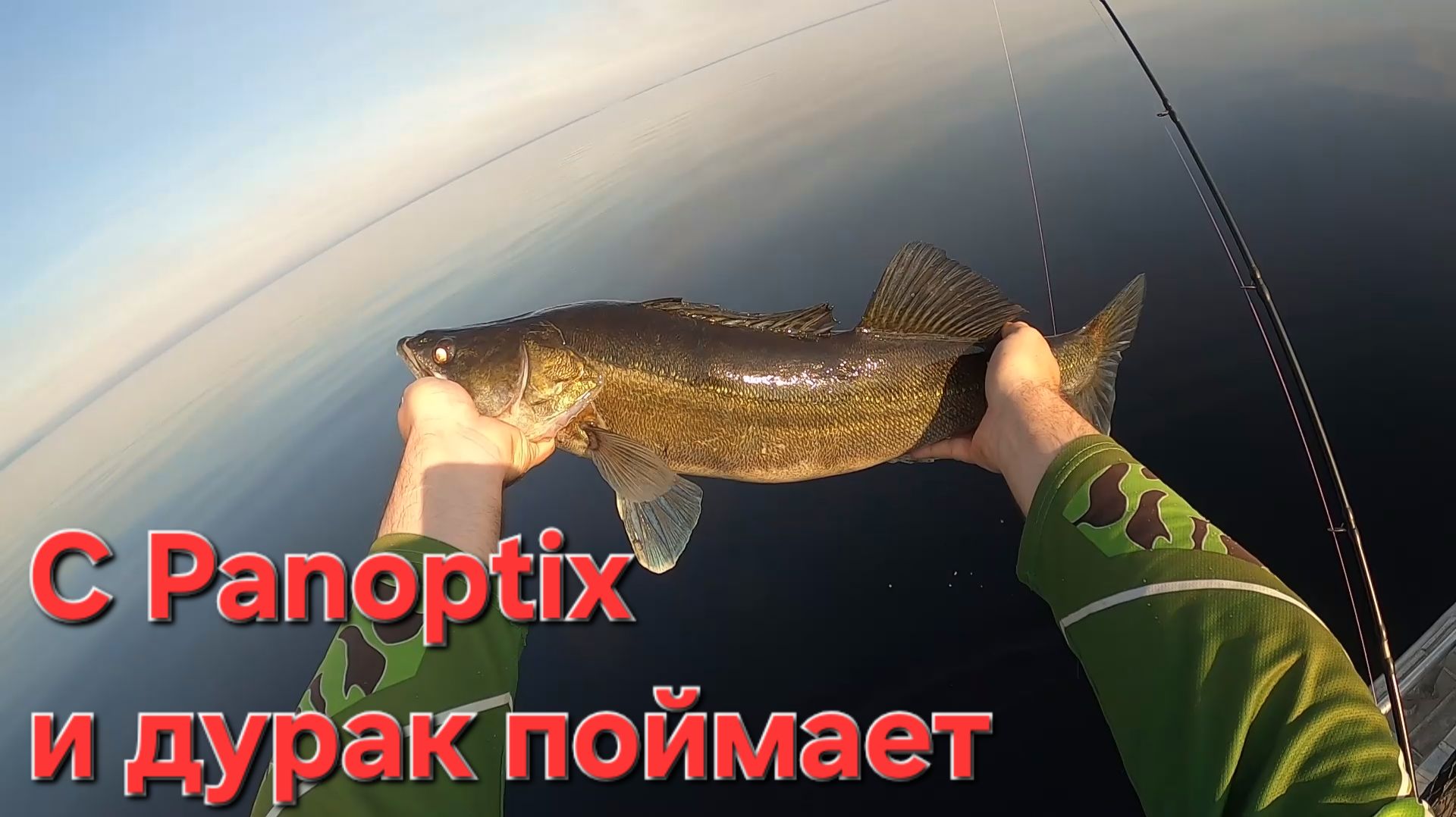 С Паноптиксом и дурак поймает