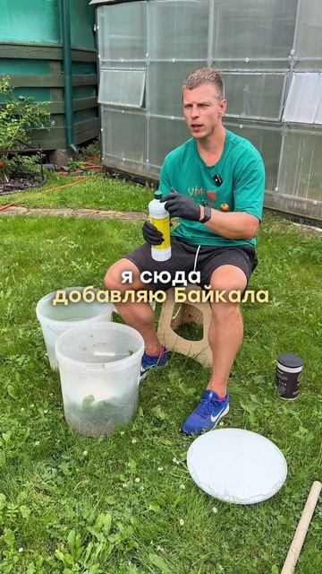 ОДУВАНЧИКИ — ЭТО КЛАД ДЛЯ ЭТИХ КУЛЬТУР