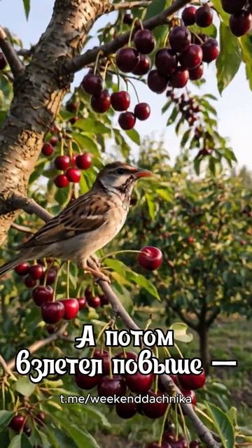 Все помнят стихотворение?