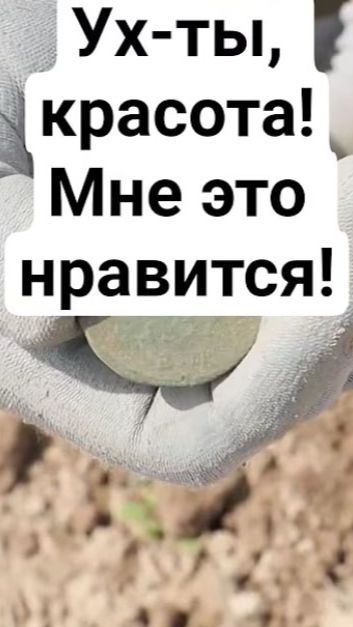 Ух-ты, красота! Мне это нравится!