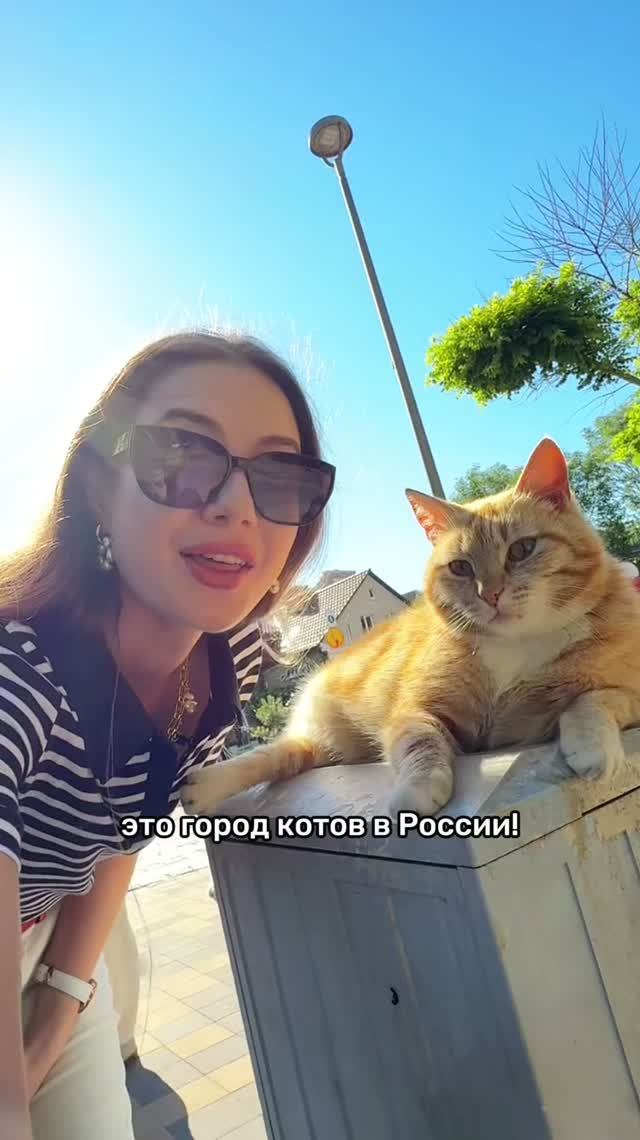 Кошачья столица России!