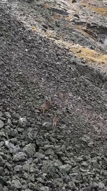 🏞 Озеро Кок-Коль. Про это озеро местные рассказывают легенды — говорят, будто у него нет дна. #озеро