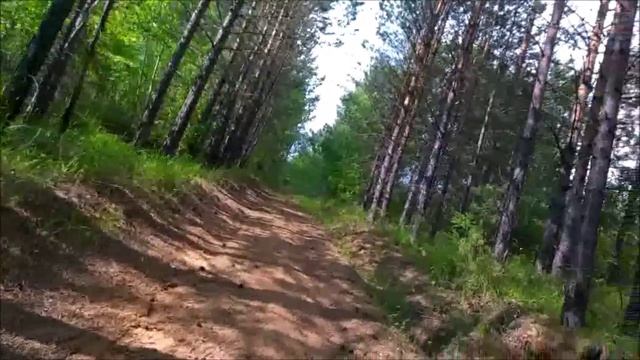Ничо-си прогулочка!!!