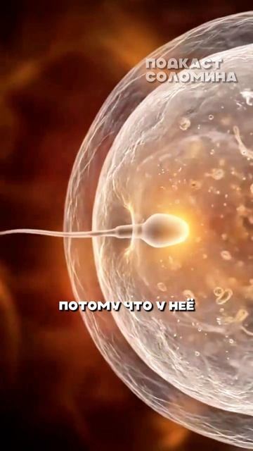 ГЕНЕТИЧЕСКИЙ РИСК ПЕРЕДАЧИ ЗАБОЛЕВАНИЯ Джайлс Йео | Смотри полный выпуск на канале Глеб Соломини