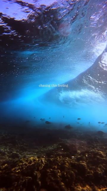 В погоня за этим чувством 🌊