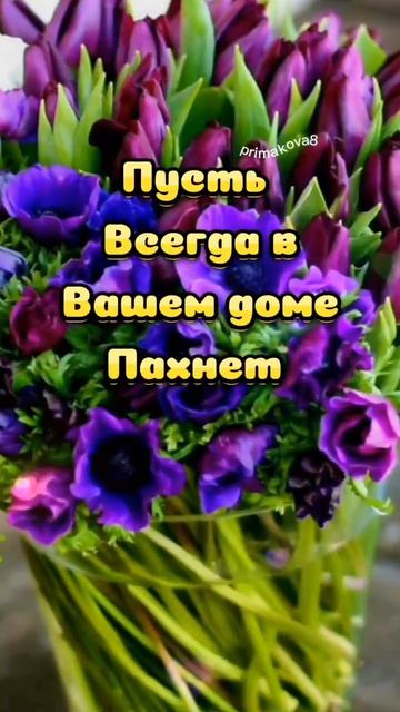 Доброе утречко ☕ вторника, хорошего дня и отличного настроения всем желаю ☕