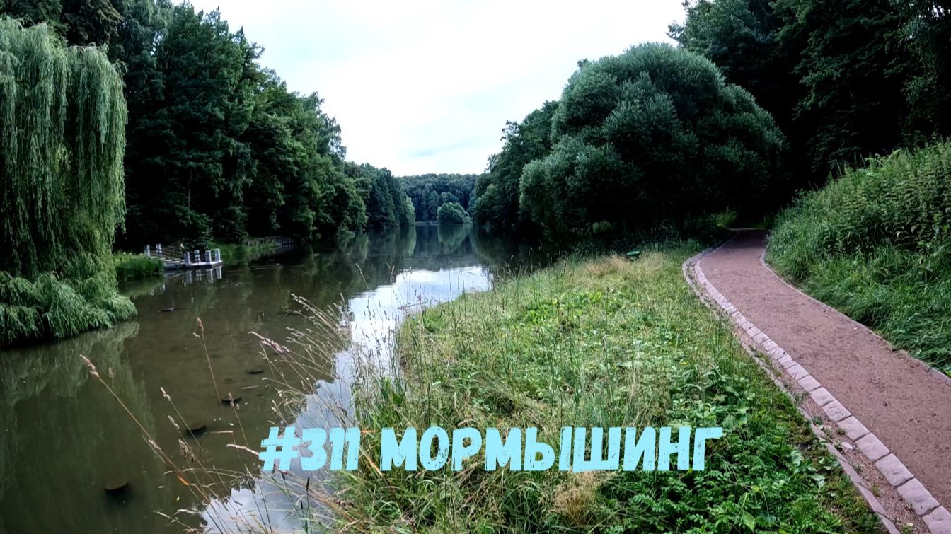 #311 Мормышинг в парке 7 июля 2026