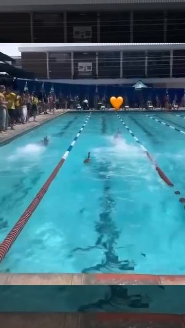 50 метров вольным стилем с утками🦆🦆