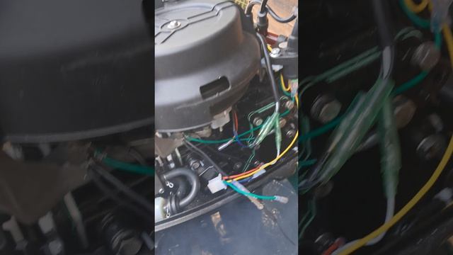 1000032595.mp4