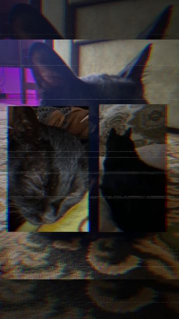 Эдит феликсу