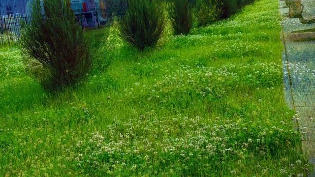 Парк Огненная Саламандра, появилась маленькая скульптура Саламандры🦎🦎, Асбест, Средний Урал