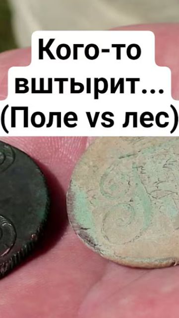 Кого-то вштырит... (Поле Vs Лес)