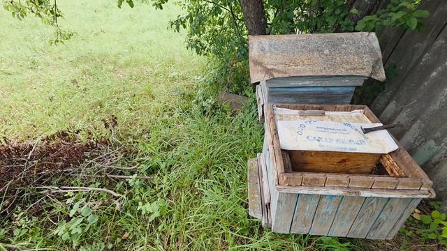 Половинки хвостов 8 июля 2026