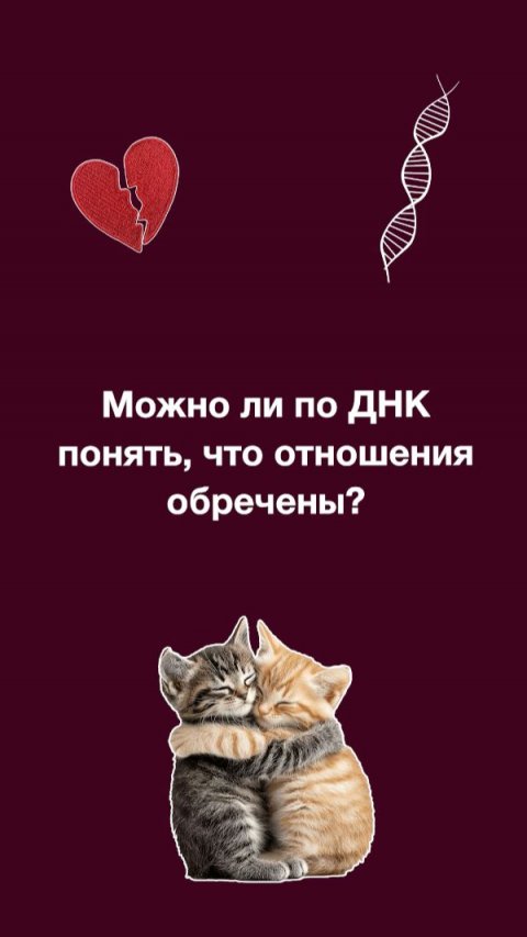 🧬 Можно ли по ДНК понять, что отношения обречены? Наука отвечает