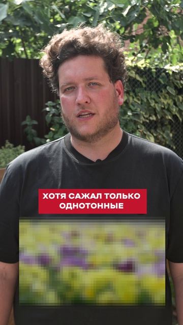 ЭТОТ ЦВЕТОК растёт САМ! Без рассады и пикировки #огород #дача #урожай