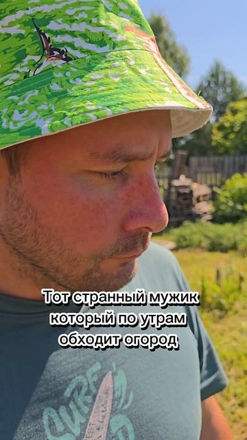 жиза...#дачасадогород #юмор #дачныеистории #грибынаурале