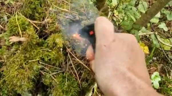 ЭКСПЕРИМЕНТ💥 Петарда и пень🧨