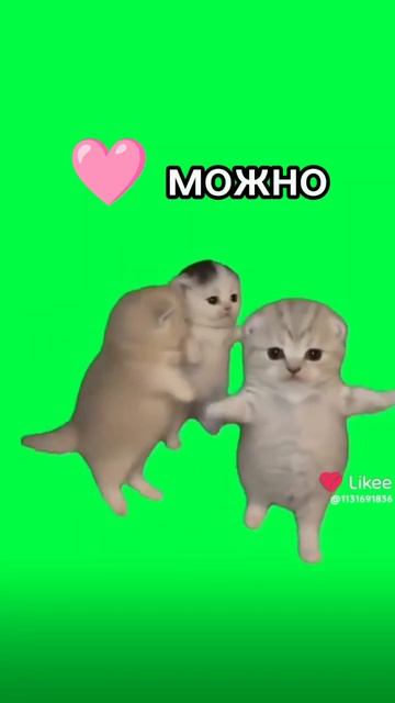 хочу баттер💛💙