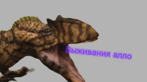 Выживания алло