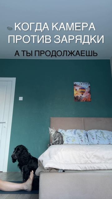Когда все идет по звезде….