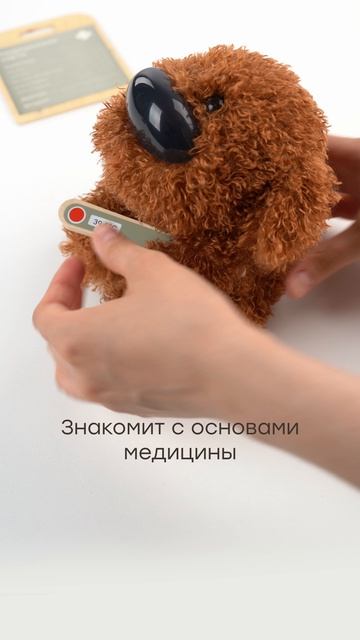 331974_Игровой набор ветеринара_CLINIC ZOO | Happy Baby