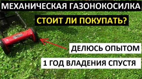 Механическая газонокосилка стоит ли покупать