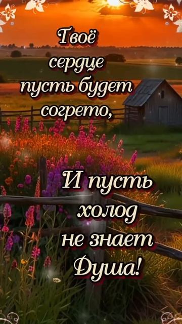 Доброго вечера друзья 🌠 Приятного отдыха
