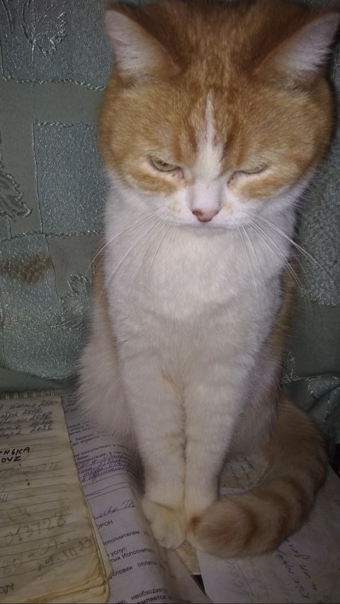 Болельщики😍супер 👍😍