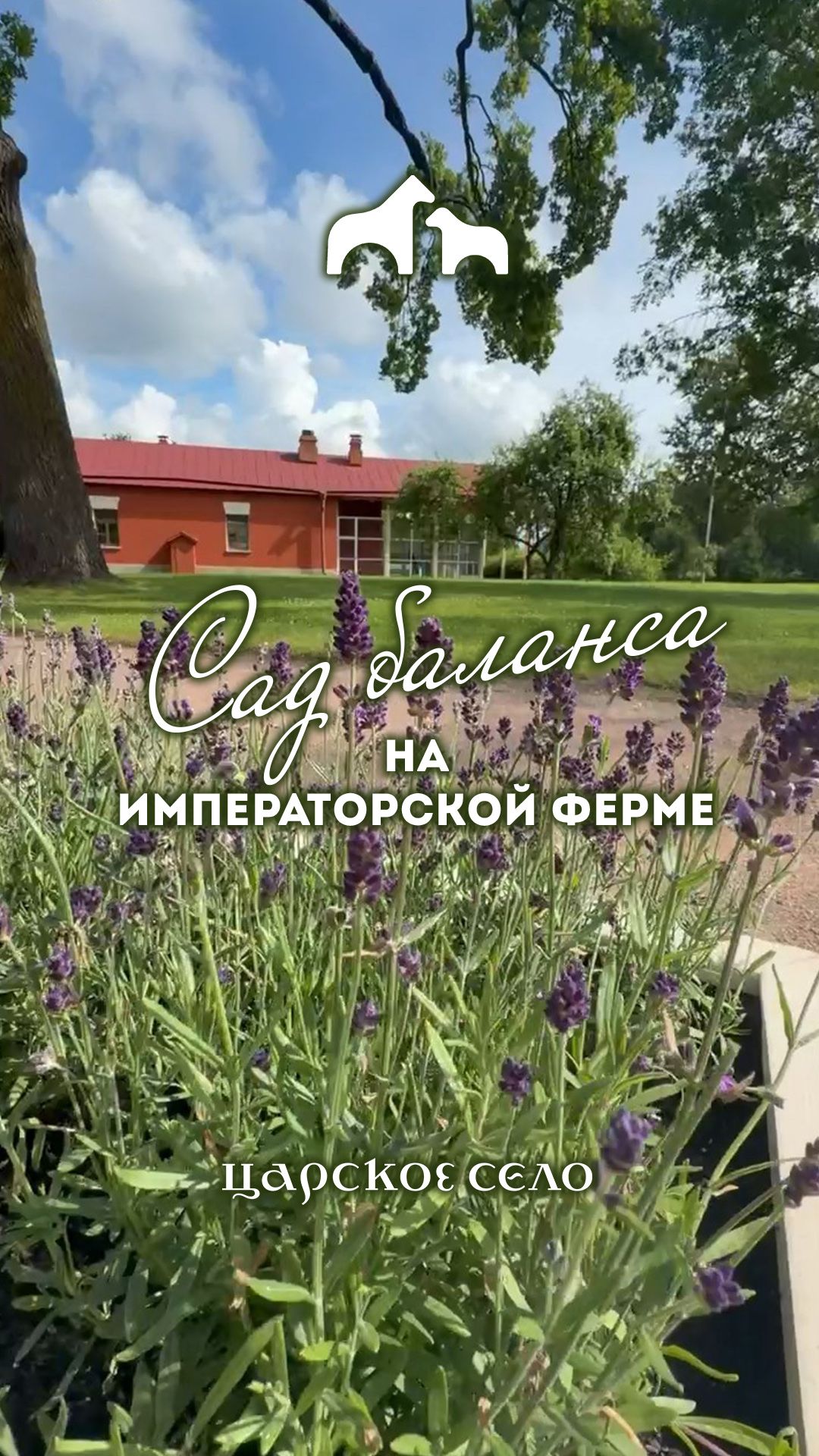 Сад баланса на Императорской ферме