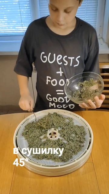 Что такое мятный сахар