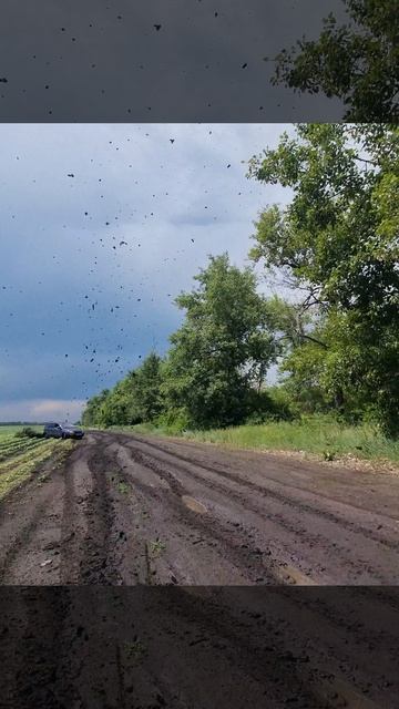 лада калина off road