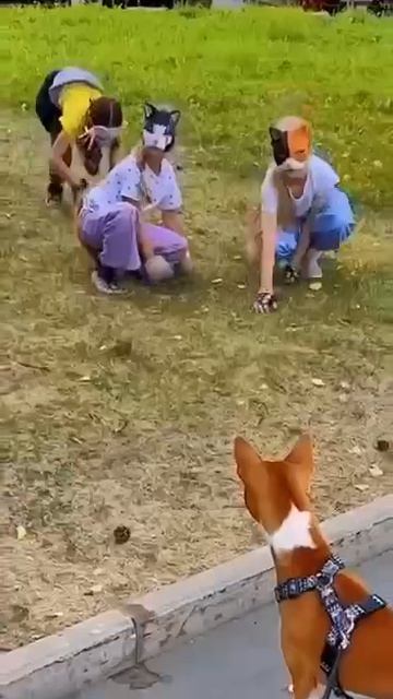 А вы?