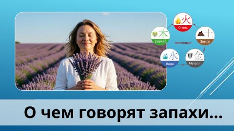 Эфирные масла. Запахи о чем говорят 05