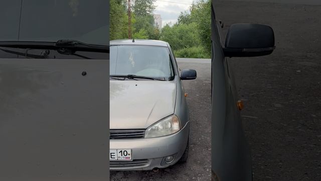 Калина 89535323688