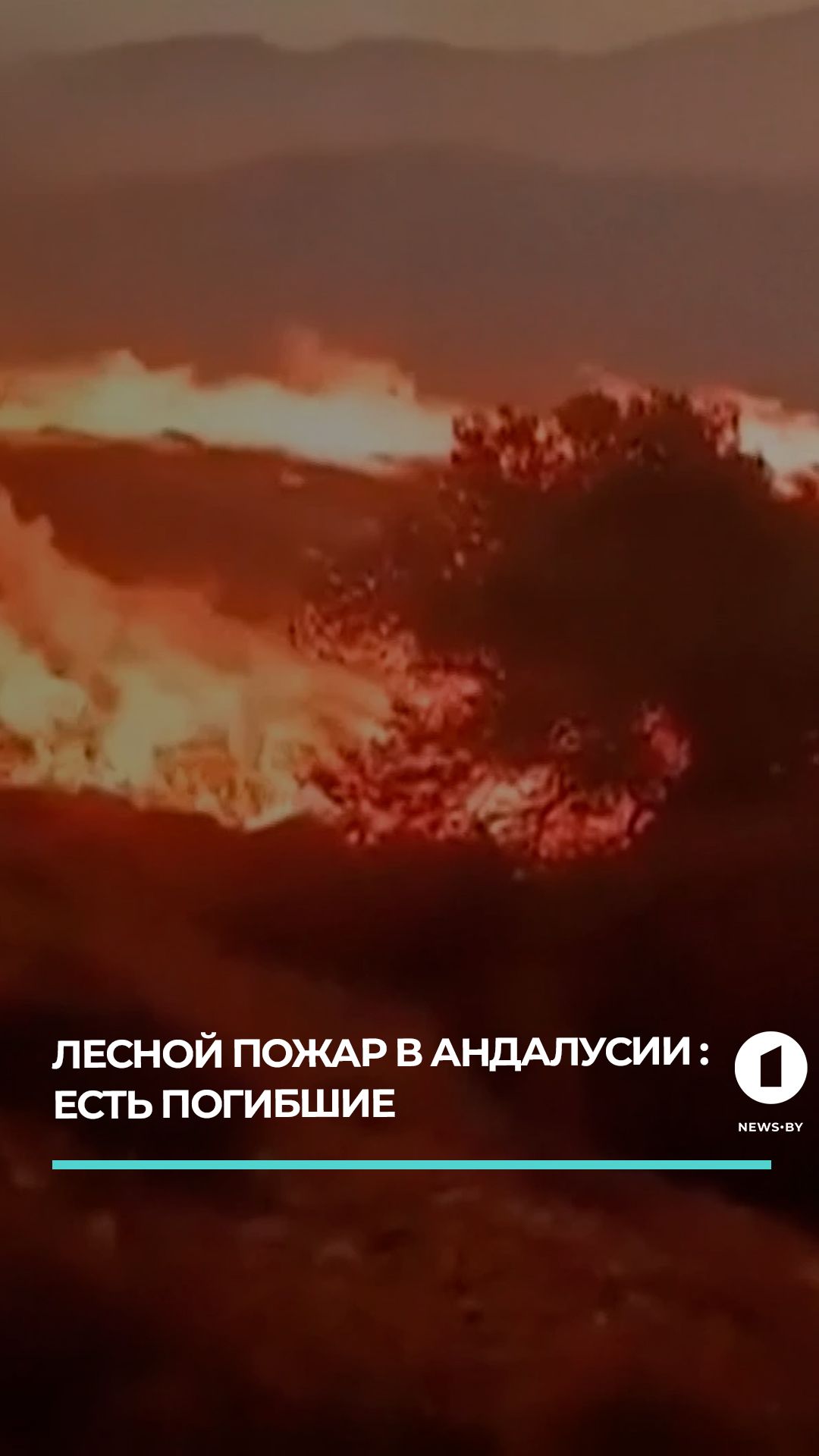 Лесной пожар в испанской Андалусии привел к многочисленным жертвам